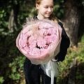 Букет из 5 кустовых хризантем “Пушистик”