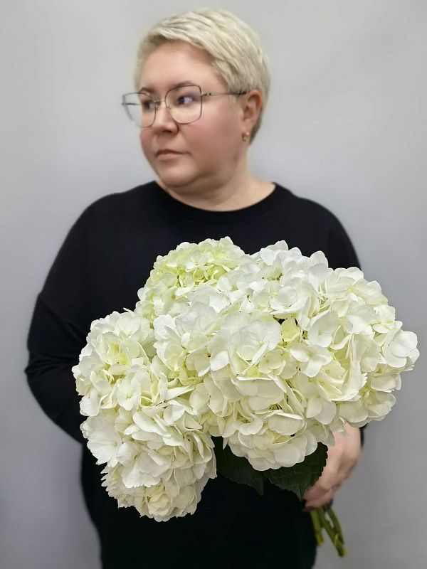 Гортензия