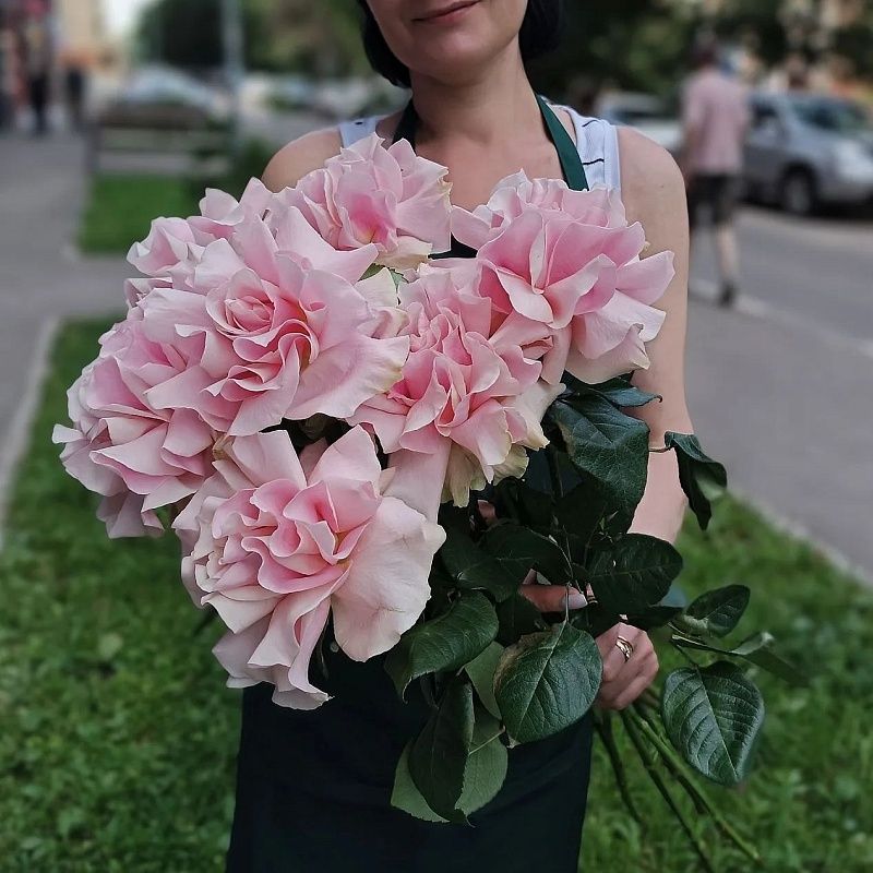 Французская роза