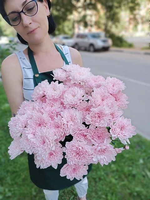 Розовая кустовая хризантема