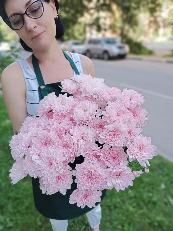 Розовая кустовая хризантема