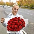 Букет из 35 бордовой розы Кения