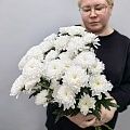 Белая кустовая хризантема