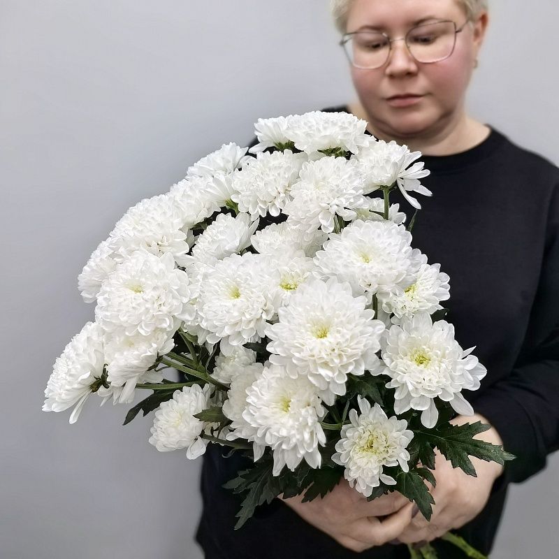 Белая кустовая хризантема