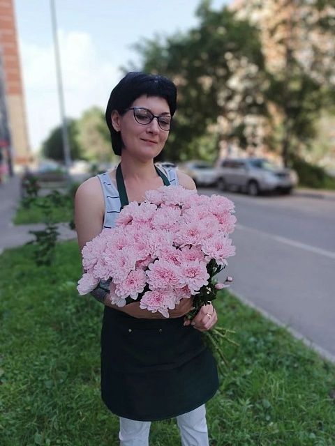 Розовая кустовая хризантема