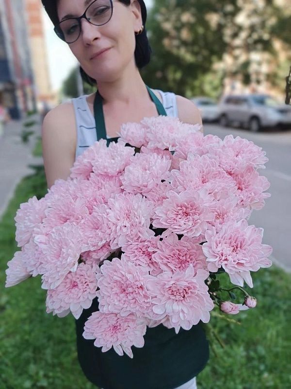 Розовая кустовая хризантема