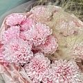 Букет из 5 кустовых хризантем “Пушистик”